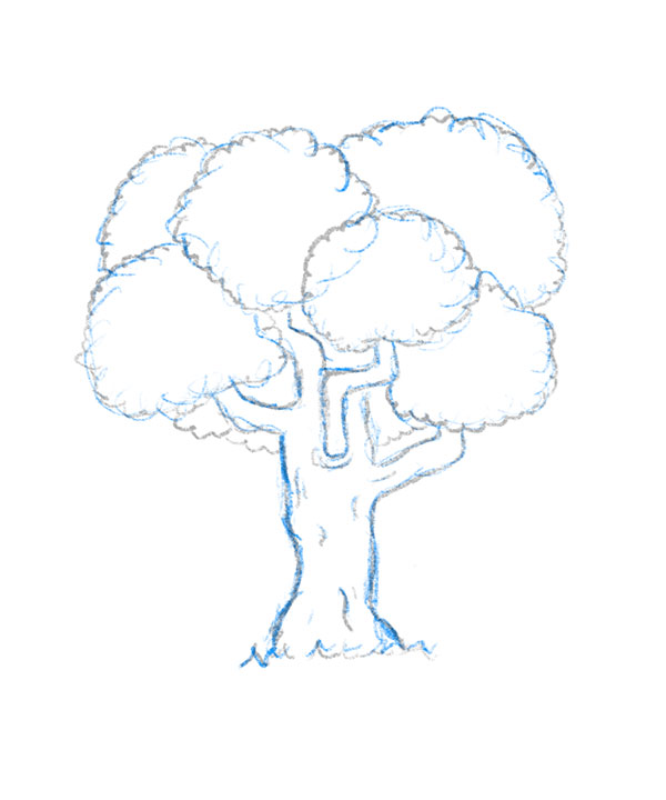 A Tree - The Sketch